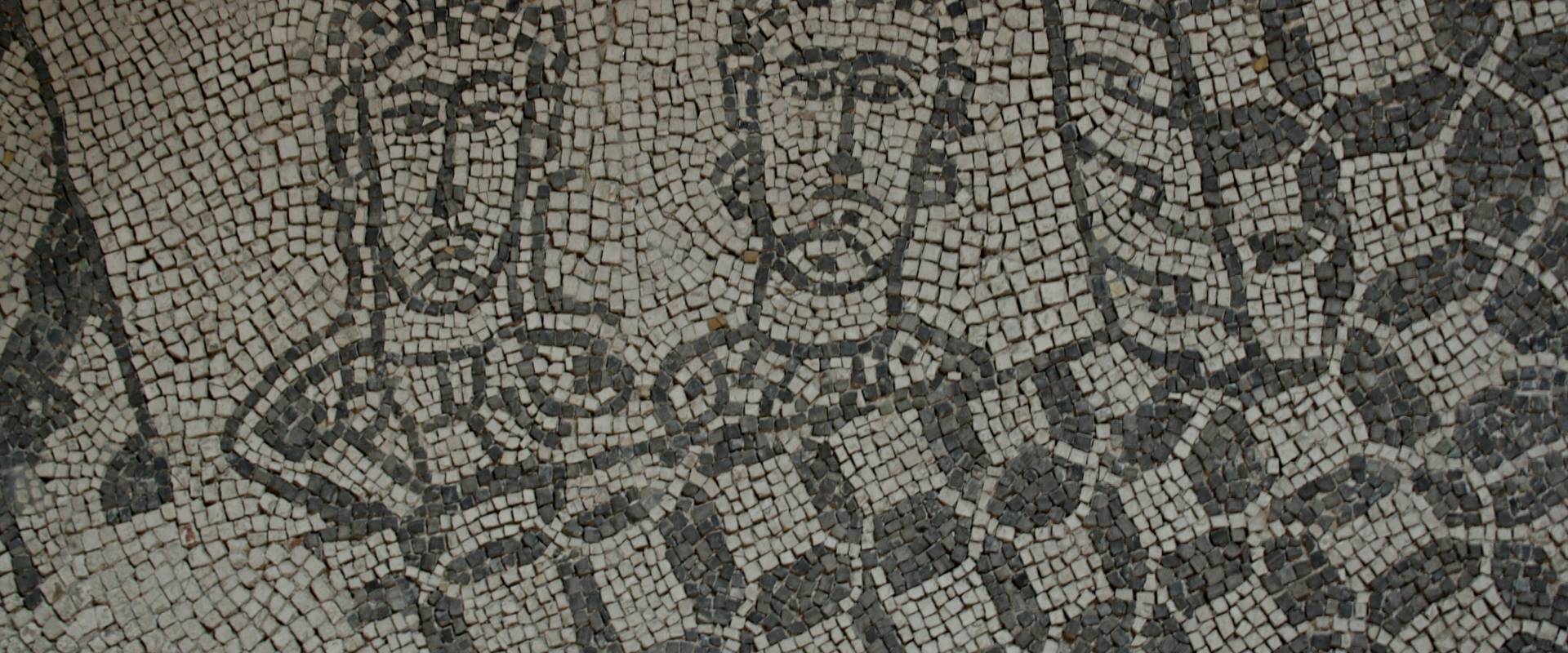 Palazzo di Teodorico - Mosaico piano superiore 8 foto di Walter manni
